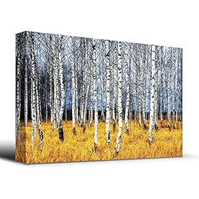 Beautiful Aspen Trees Fall Colors - Canvas Art Home Art - 12x18 inches