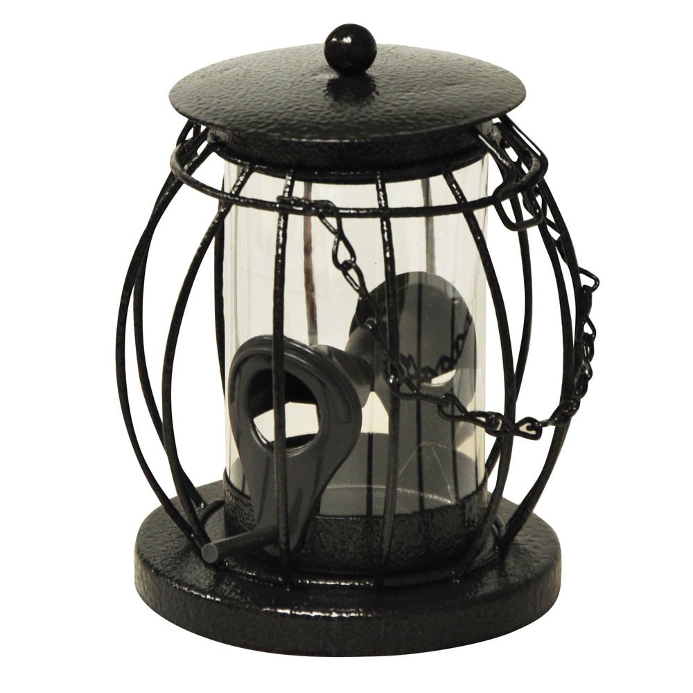 Best Price Square Kingfisher Mini Lantern Seed Feeder, Squirrel Guard, Squirrel Feeder, Metal, Hanging Mount