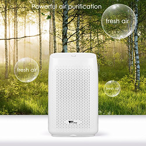 amzdeal Dehumidifier Portable Dehumidifier for Basement Bathroom Smart Dehumidifier with 2L(4.2 pints) Water Tank for 2200 Cubic Feet(269 aq.ft) Room Kitchen Silent Mode for Sleeping