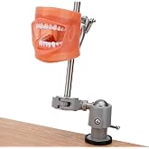 PER4MANCE Dental Typodont Mounting Pole Set (32 Removable Teeth Model Included) - 360&deg; Rotating | Compatible with Kilgore, Columbia, Nissin, and Frasaco| Ideal for Education and Training