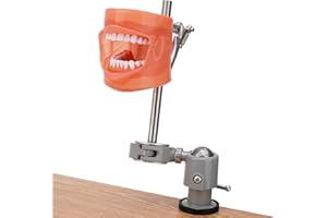PER4MANCE Dental Typodont Mounting Pole Set (32 Removable Teeth Model Included) - 360° Rotating | Compatible with Kilgore, Columbia, Nissin, and Frasaco| Ideal for Education and Training
