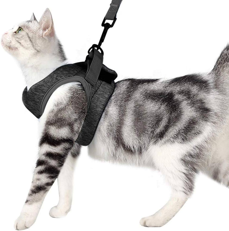Cat Harness and Leash Set Ultra-Light Kitten Collar Soft and Comfortable Cat Walking Jacket Running Cushioning Escape Proof Suitable for Puppies Rabbits with Cationic Fabric (S, Gray)