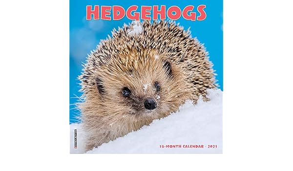 hedgehog calendar 2021 Hedgehogs 2021 Mini Wall Calendar Willow Creek Press 9781549215568 Amazon Com Books hedgehog calendar 2021