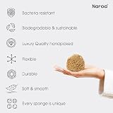 Naroa Natural Baby Sponge Soft Sea Wool Unbleached 2 Pack view 4