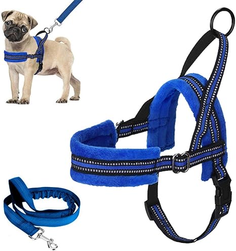 pug life harness amazon
