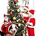 royalwise RW03-RD-XL Royal Wise Running Santa Christmas Pet Costumes, Apparel Party Dressing Up Clothing for Dogs Cats Clothes Pet Outfit, Red, X-Large
