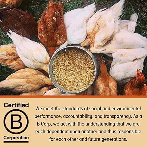 4 Scratch+Peck+Feeds+Naturally+Chickens