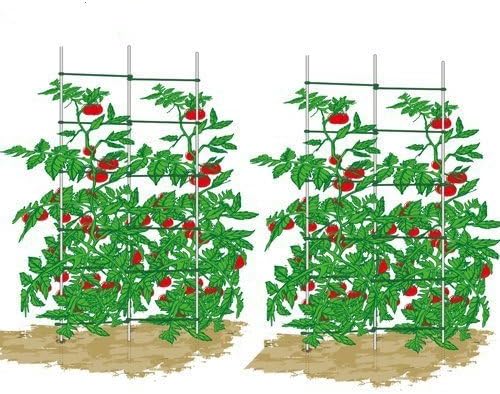 EcoTrellis, Expandable Trellis,Plant Ladder,Support Ladder,Tomato Trellis,Cucumber Trellis, 5Ft High, 2 Sets