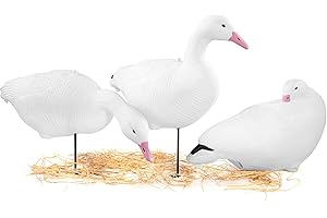 Heerweiyi Goose Decoys Pack of 6, Popular New Material EVA Collapsible Plastic Goose Hunting Decoys, Goose Decoys, Easy to Carry and Use, Cost Effective.