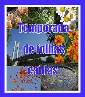 Livro Temporada de folhas caídas