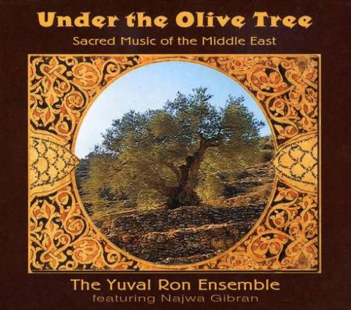 Cover of Under the Olive Tree