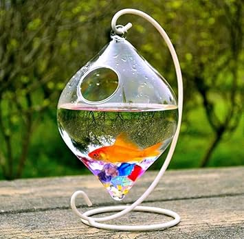 Small Glass Vase Creative Fish Tank Aquarium Fish Bowl Decoration