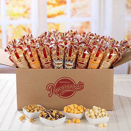 Popcornopolis Gourmet Popcorn Mini Cone Premium 24 Pack Includes