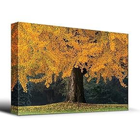 Majestic Ancient Yellow Tree - Canvas Art Home Art - 12x18 inches