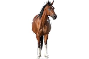 MAMMA KIDDIE Life Size Cardboard Cutout Standup | Waterproof | Animals - Horse - Left