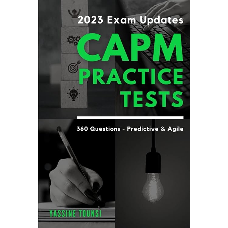 CAPM Simulationsfragen