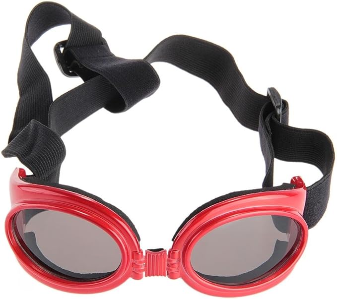 Occhiali Protettivi Trasparenti, Protezione UV, Antiappannamento - Foto 8