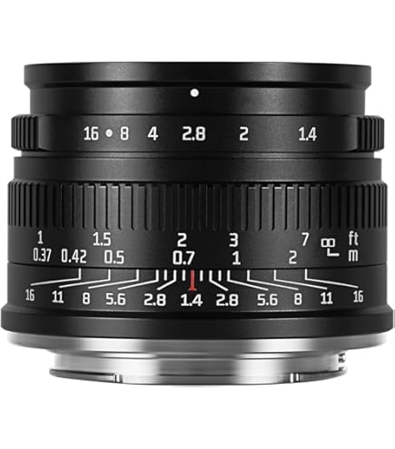 Amazon.com : Fujifilm X-E1 16.3MP Compact System Digital Camera