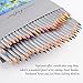 Marco Raffine Fine 48 Colors Art Drawing Pencil 7100-48CB Set Non-toxic ASTM Tin Wooden Painting Artist Sketching Craft Graphite