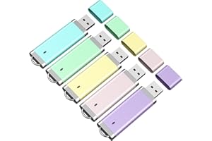 RAOYI 5 Pack 64GB USB Flash Drive Bulk Pack Memory Stick Thumb Drive USB 2.0 Jump Drive Pen Lighter Shape (5 Mixed Colors: Bl