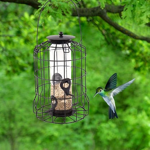 automatic wild bird feeder