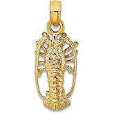 JewelryWeb 8mm 10k Solid Yellow Gold Florida Lobster With Out Claws Charm Pendant Necklace for Women