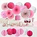 Cocodeko Hanging Set, Tissue Paper Poms Flower Fan and Honeycomb Balls for Birthday Baby Shower Wedding Festival Decorations-Pink, 3 Gram