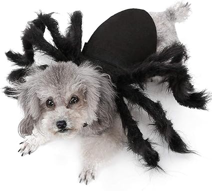 Lennonsi Vêtement Dhalloween Pour Chat Ou Chien En Peluche