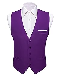 Barry.Wang Mens Purple Vest Formal/Leisure V-neck