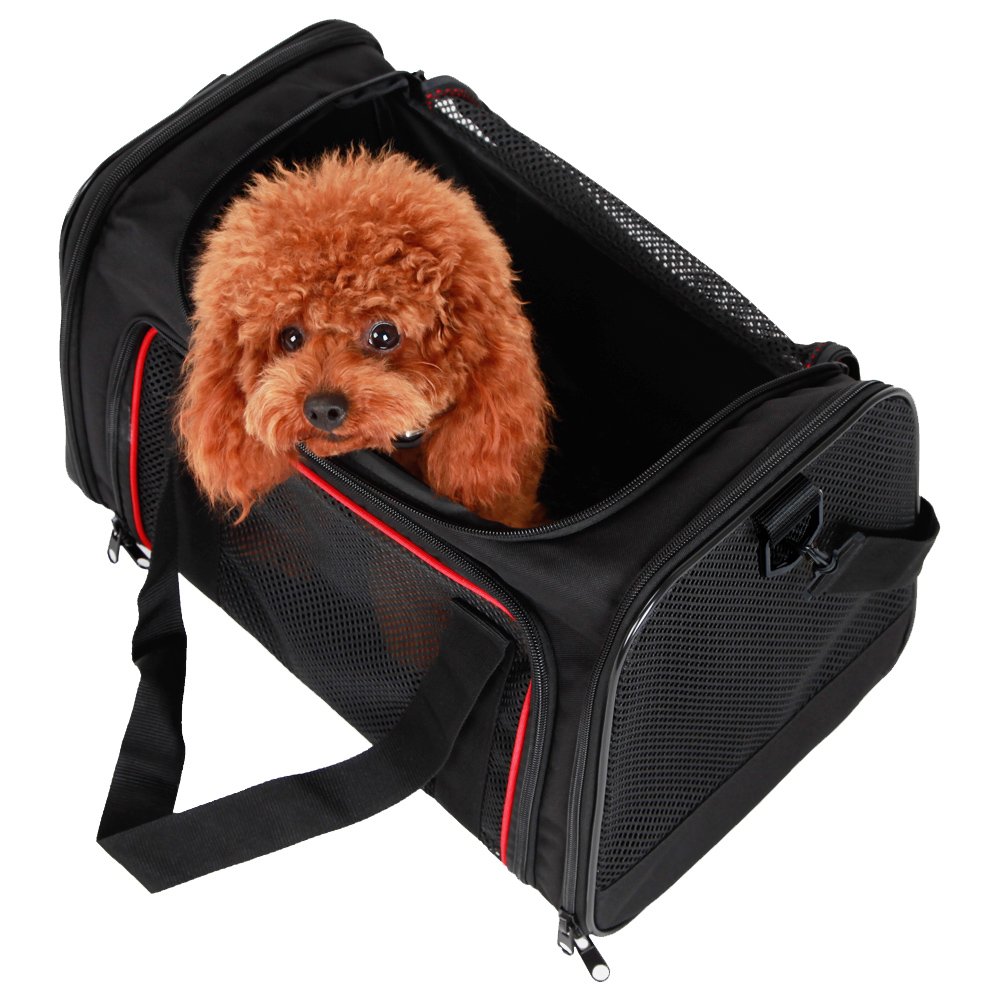 A4Pet Top Loading Collapsible Soft Pet Carrier for Cats 6074837507029