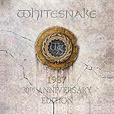 1987 + Live on Tour "Snakeskin Boots" 1987/1988