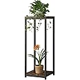YIZAIJIA Plant Stand Indoor Corner Tall 2 Tier Metal Modern Flower Storage Plant Shelf Holder for Living Room Balcony Garden,Black (2 Tier-Black)