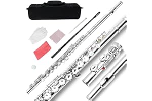 WUQIMUSC 16 Key Closed Hole C Flute - Student Flute for Beginners,Easy to Play with Durable Design, Includes Carrying Case, Cleaning Kit, Gloves, Perfect for Learning(Silver)