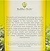 Wings Tea with Ginger (Pack of 2, 40 Tea Bags) - Healthy Tea for Immune & Digestive Health - Organic Herbal Tea Bags w/Natural Ingredients - Ideal Tea Gifts for Tea Lovers