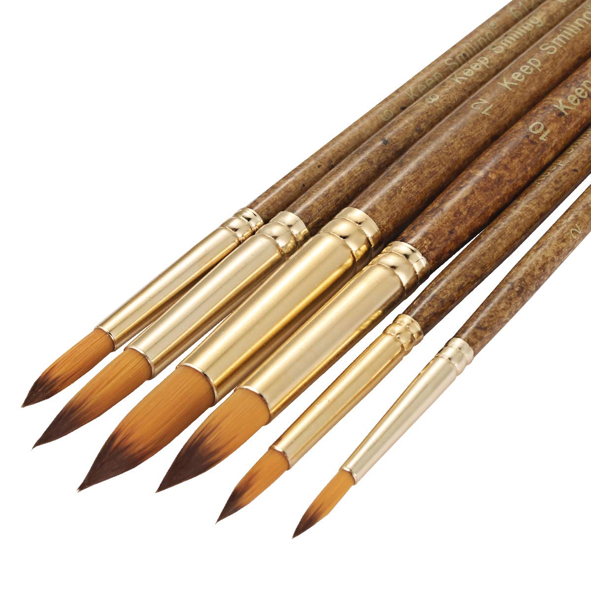 Silithus Paint Brushes 6 Pieces Set, Professional Fine Tip Paint Brush Set Round Pointed Tip Nylon Hair artist acrylic brush for Acrylic Watercolor Oil Painting (Round)