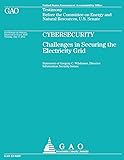 Cyberstudy: Challenges in Securing the Electricity Grid