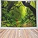 Leofanger Misty Forest Tapestry Nature Green Tree Wall Tapestry Virgin Rainforest Landscape Wall Hanging for Bedroom Living Room (51.2