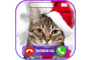 Insant Call from Chrismas Cat - video call with Chrismas Cat - Prank Video Call & Voice Call from Chrismas Cat ▏ (NO ADS)