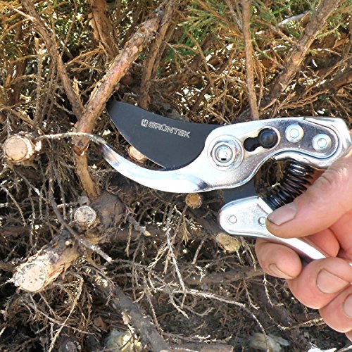 SILVERCUT Profi ByPass Secateur Pruning Garden Shear 230mm, Blade