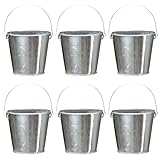 TAKMA Galvanized Tin Metal Buckets with Handle, 6