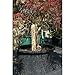 Natural Wood Garden Stakes - Case of 250
