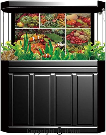 How to photograph fish in an aquarium How to photograph fish in an aquarium