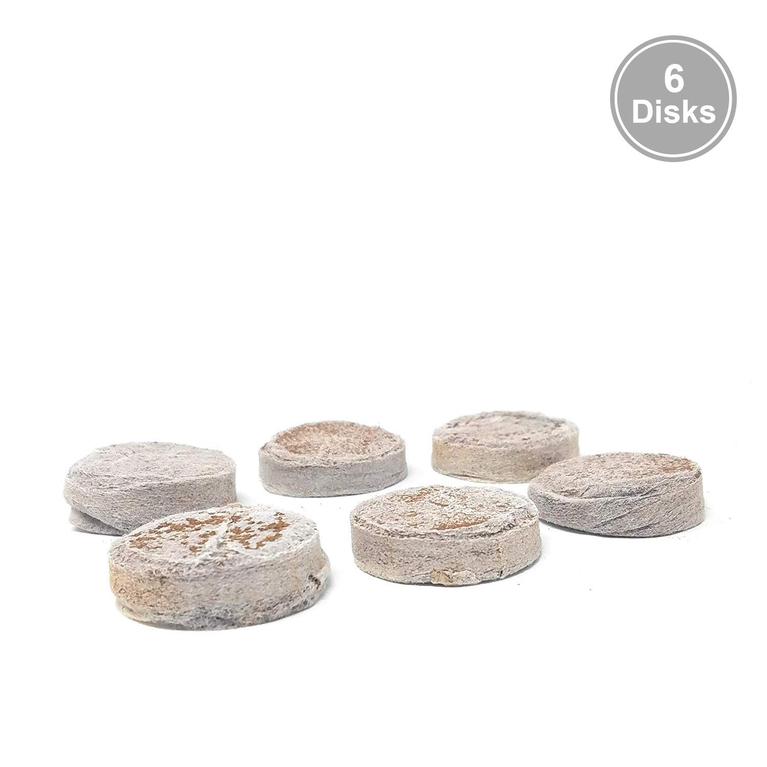 Best Raised Garden Bed Soil Amendment