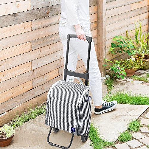 60 オフ Cocoro プチ マルシェ 保冷 保温 大容量 ショッピング