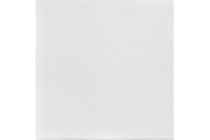 À LA MAISON CEILINGS A La Maison Ceilings R22 Basic Foam Glue-up Ceiling Tile (21.6 sq. ft./Case), Pack of 8, Plain White