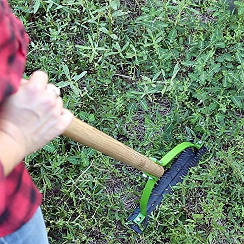 AMES 2915300 Double Blade Weed Grass Cutter with Hardwood Handle, 30