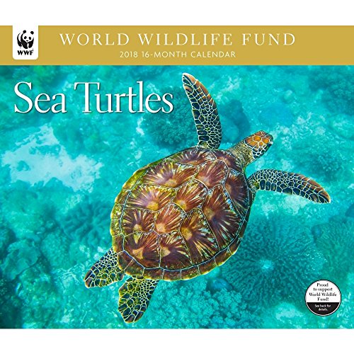 Sea Turtle Calendars Kritters in the Mailbox Animal Items