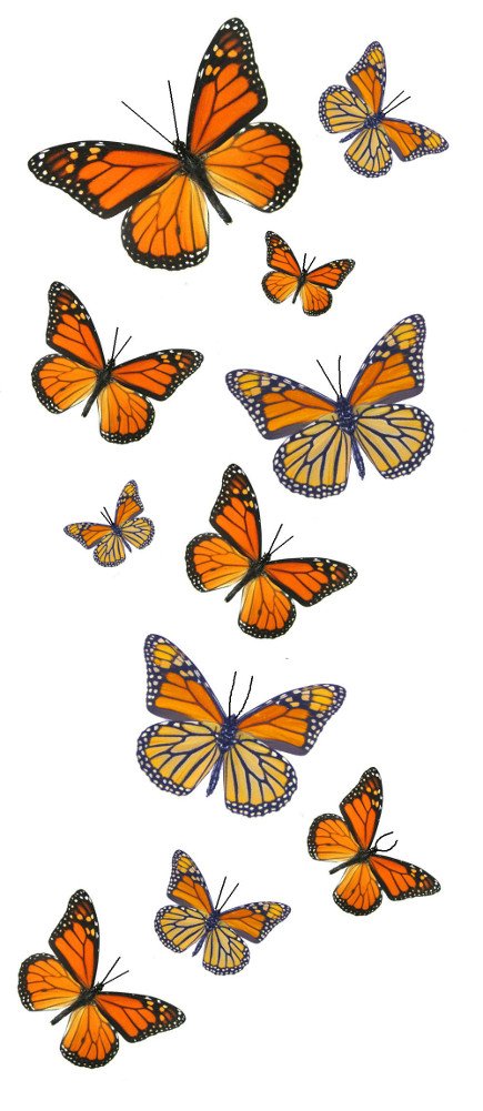 Photo 1 of 55 Monarch Butterfly Temporary Tattoos