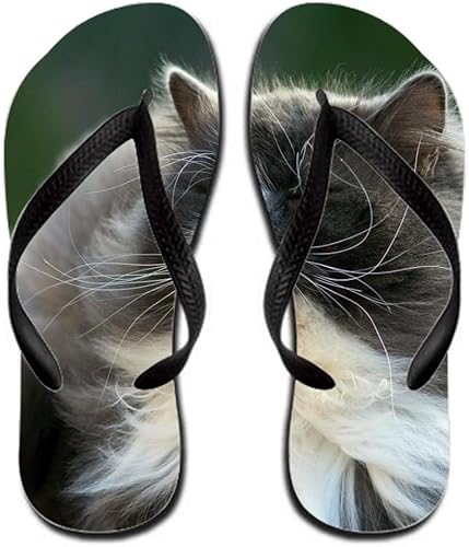 teva alp sandals womens