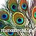 KAYSO Peacock Mini Tails Feathers, 25 Piece